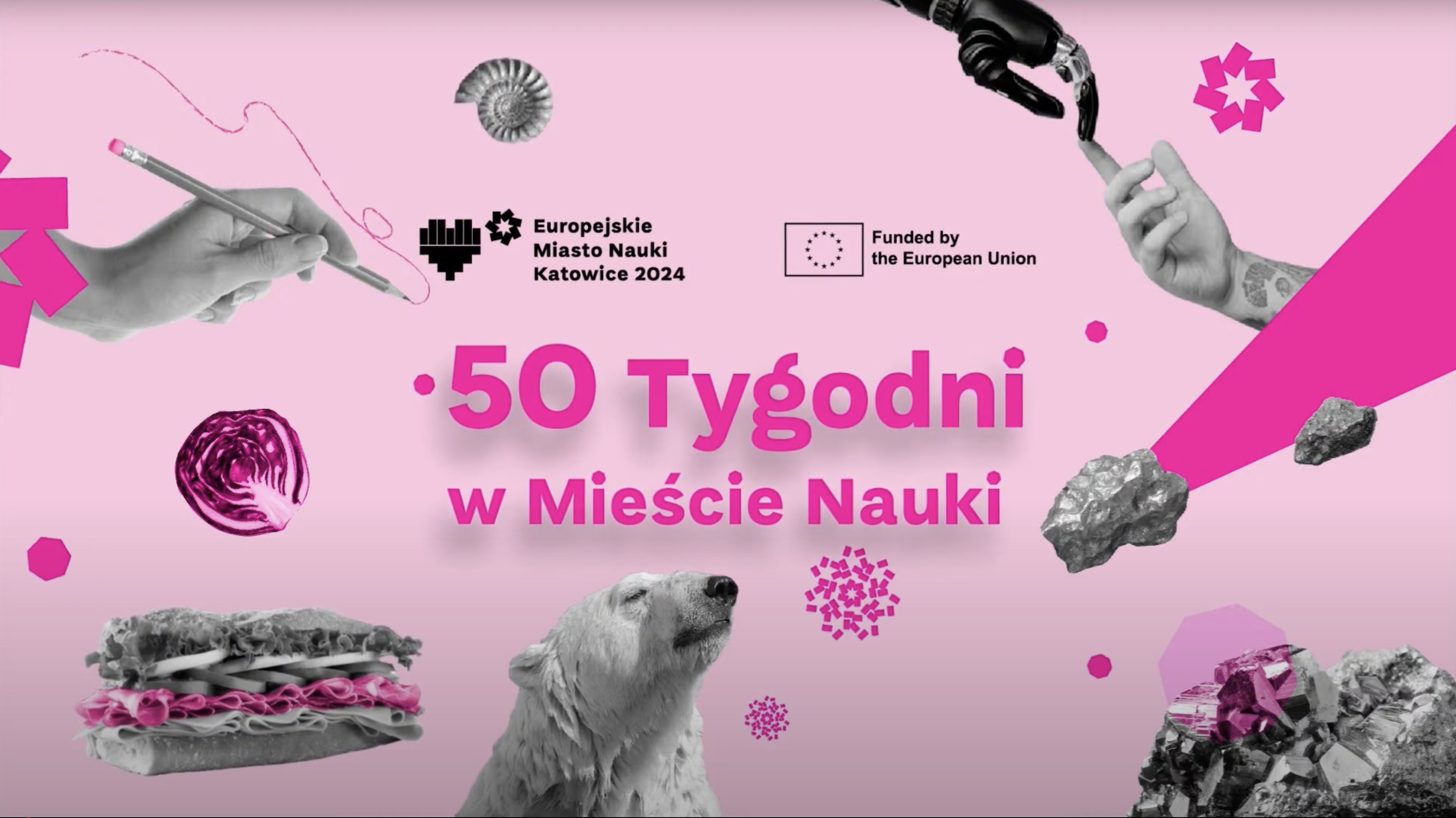 Dynamiczna samoorganizacja w chemii – oscylacyjne reakcje chemiczne. Warsztaty oscylacyjne, 13.03.2024